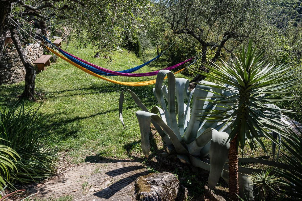 Bed and Breakfast La Fattoria Di Nonna Eugenia Lerici Exterior foto