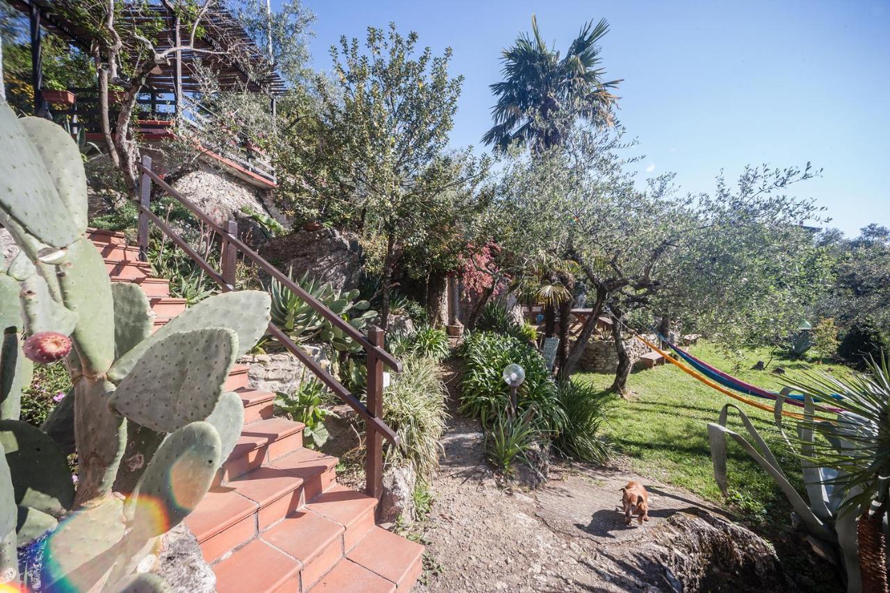 Bed and Breakfast La Fattoria Di Nonna Eugenia Lerici Exterior foto