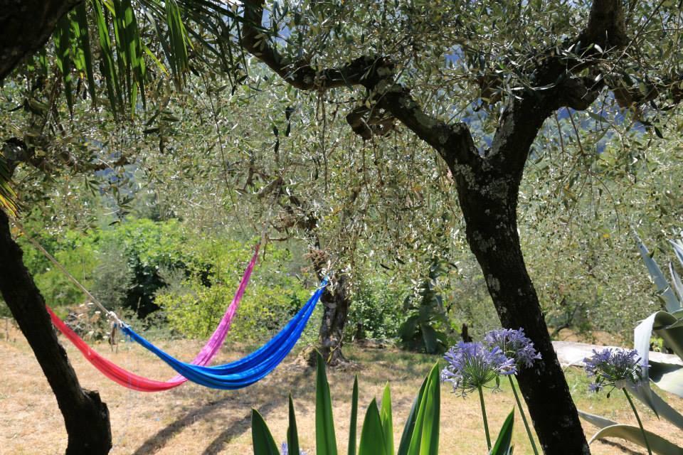 Bed and Breakfast La Fattoria Di Nonna Eugenia Lerici Exterior foto